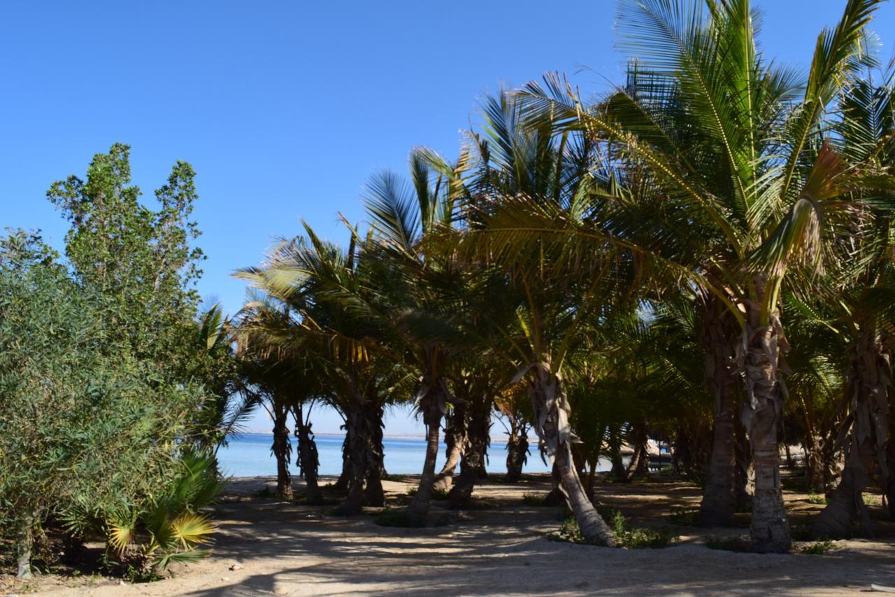 Mangrove Bay Resort El Qoseir Extérieur photo