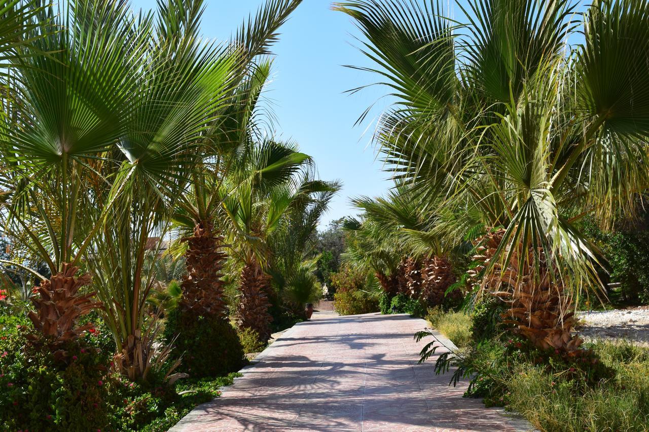 Mangrove Bay Resort El Qoseir Extérieur photo